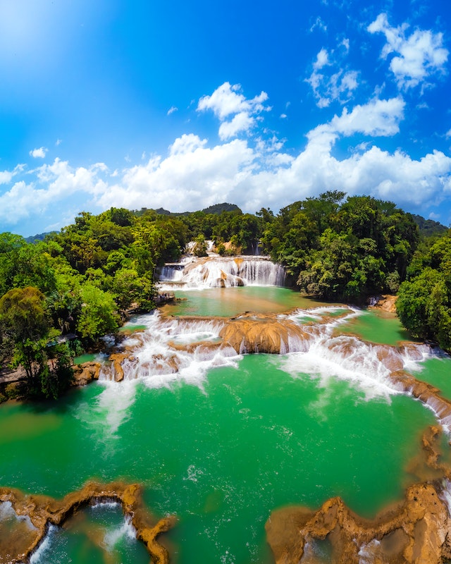 pexels jorge medina 12326385