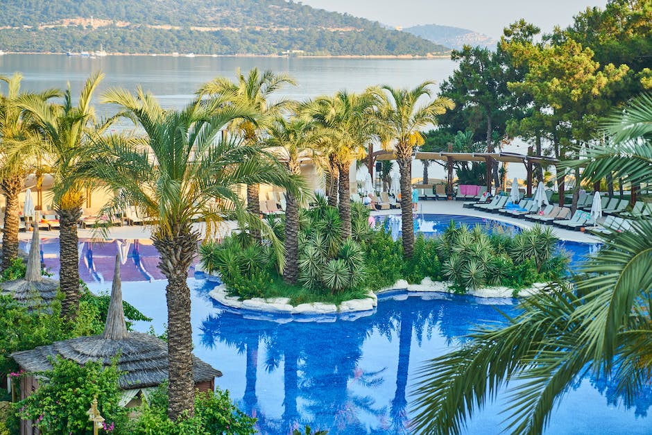 Descubre todo sobre la zona azul de Okinawa: playas, turismo y más 3 pexels photo 2992314