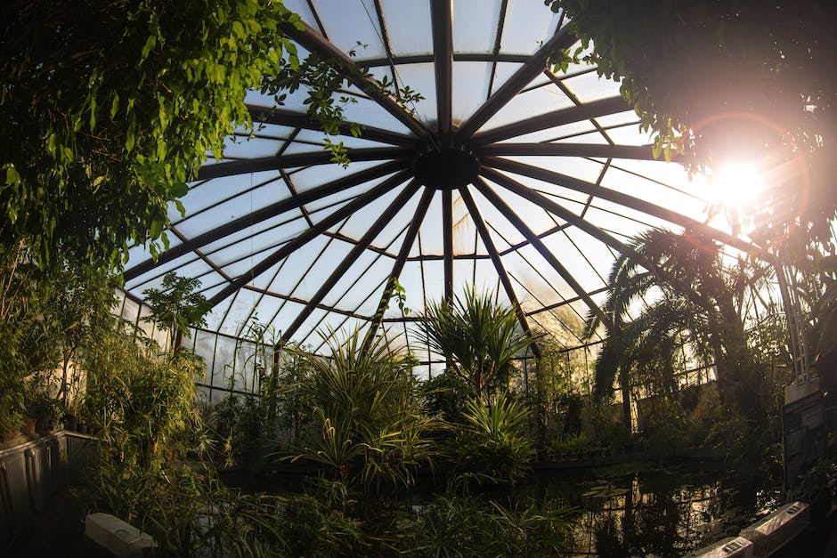 Soluciones efectivas para combatir el efecto invernadero en el planeta 8 pexels photo 15207230