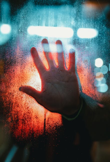 Lectinas y el síndrome del intestino permeable: todo lo que debes saber 4 pexels photo 3944752