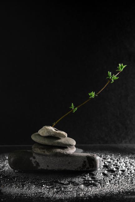 Células madre Yamanaka: Descubre todo sobre su impacto en la medicina moderna 7 pexels photo 7814720